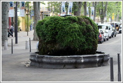 Fontaine d'eau Chaude (Warm Water).  Built in 1734, fed by a hot spring.  Cours Mirabeau.