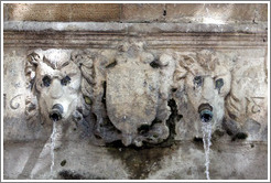 Fontaine Esp?que.  Lion spouts.  Old town.