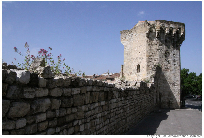La Tourreluque, a 14th century tower.  Old town.