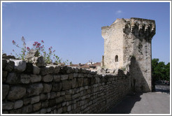 La Tourreluque, a 14th century tower.  Old town.
