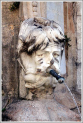 Face containing a water spout.  Fountain in the Place de l'H? de Ville (city hall plaza).