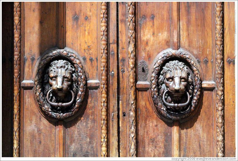 Lions adorning the doors of the H? de Ville (city hall).