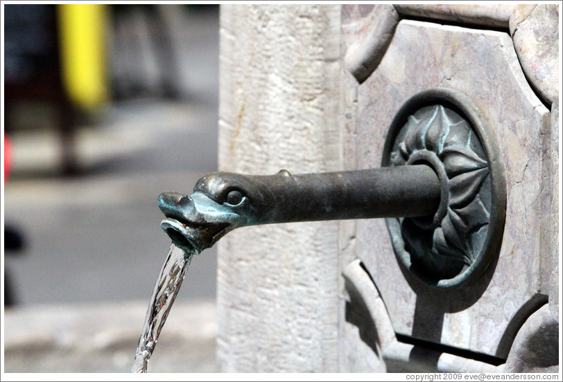 Fountain spout.  Place des Augustins.  Old town.