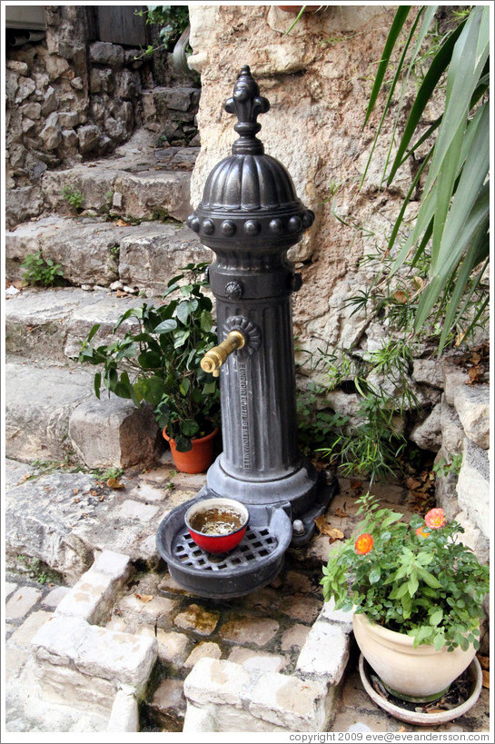 Dog water fountain.