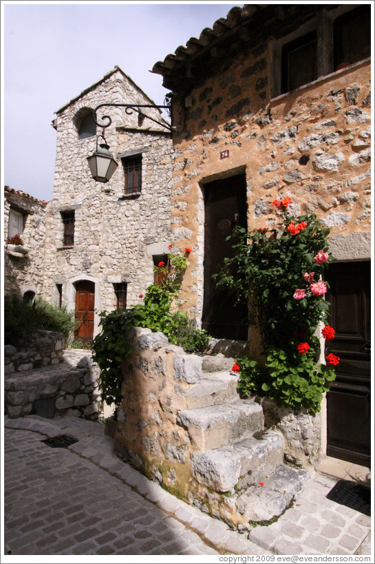 House with orange flowers.