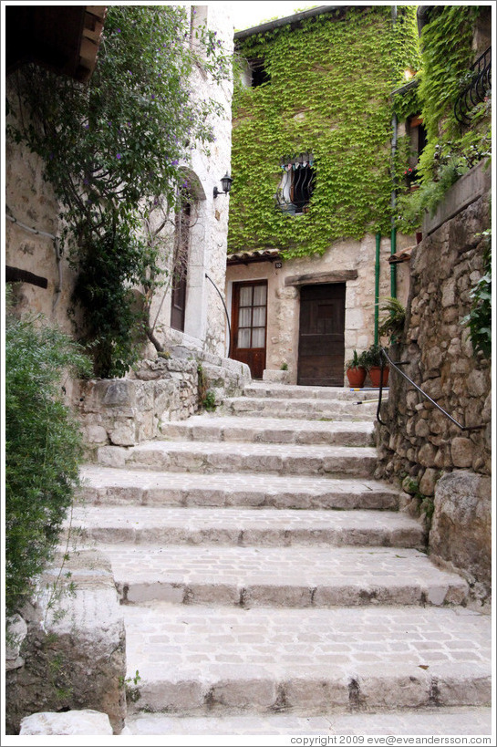 Stairs and vine-covered building.