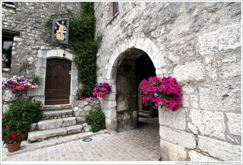 House with violet flowers.