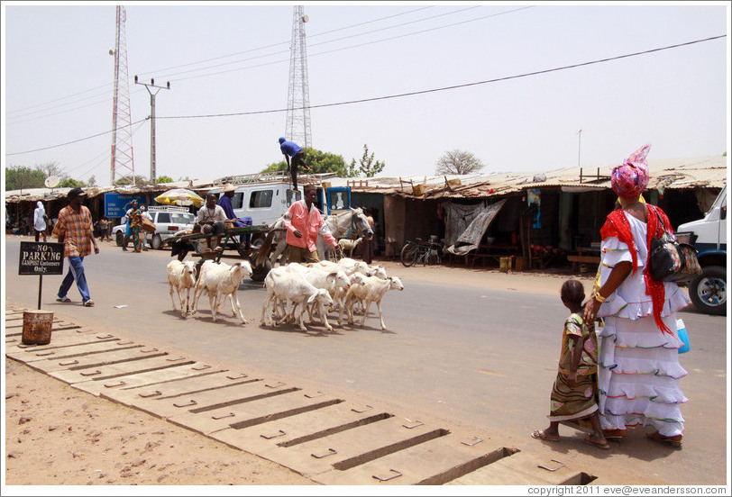 Main street of the town Farafenni, with a man with goats, and a woman and child with beautiful dresses.