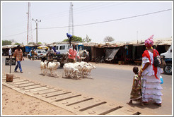 Main street of the town Farafenni, with a man with goats, and a woman and child with beautiful dresses.