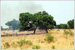 Clearing grass for farmland via burning.