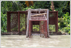 Cage through which chimpanzees are introduced to the Baboon Islands in the Chimpanzee Rehabilitation Project.