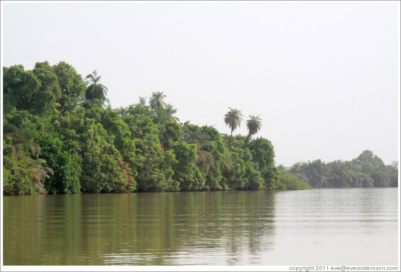 Baboon Islands.