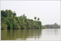 Baboon Islands.