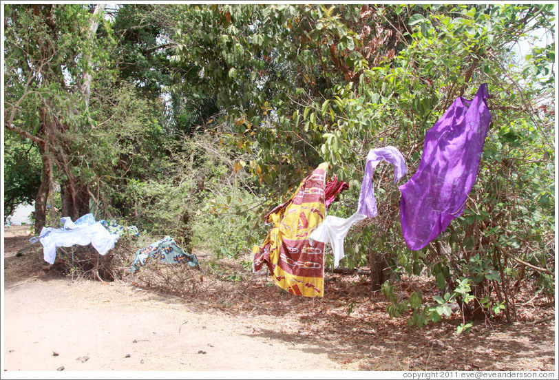 Clothes left on trees to dry by local villagers.