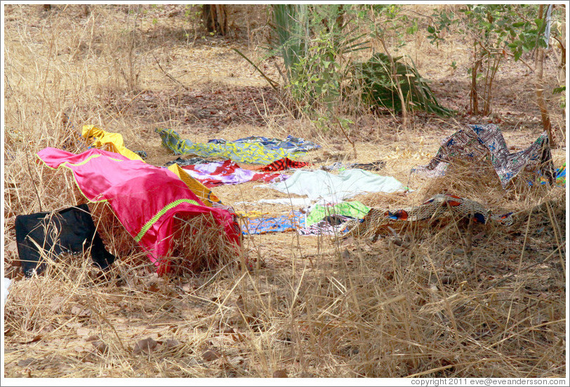 Clothes left on trees and grass to dry by local villagers.