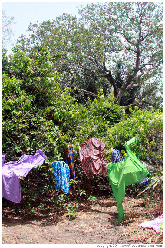 Clothes left on trees to dry by local villagers.