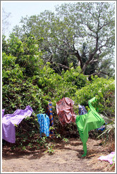 Clothes left on trees to dry by local villagers.