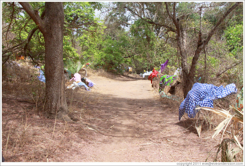 Clothes left on trees to dry by local villagers.