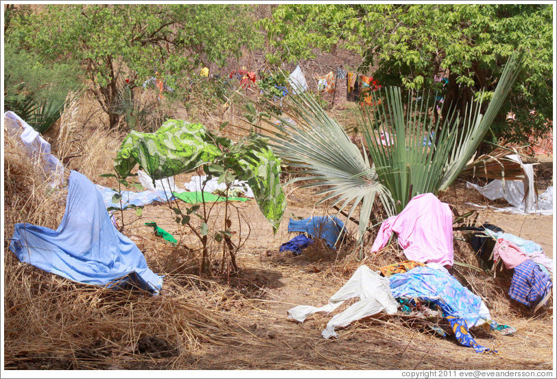 Clothes left on trees to dry by local villagers.