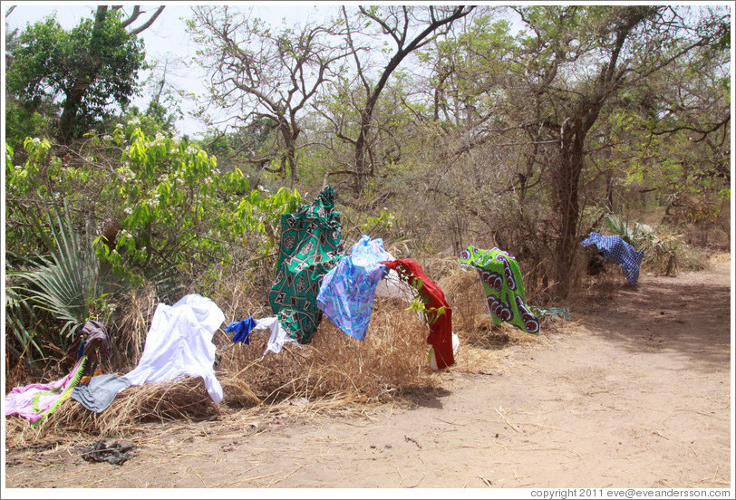 Clothes left on trees to dry by local villagers.