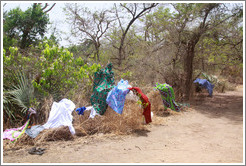 Clothes left on trees to dry by local villagers.