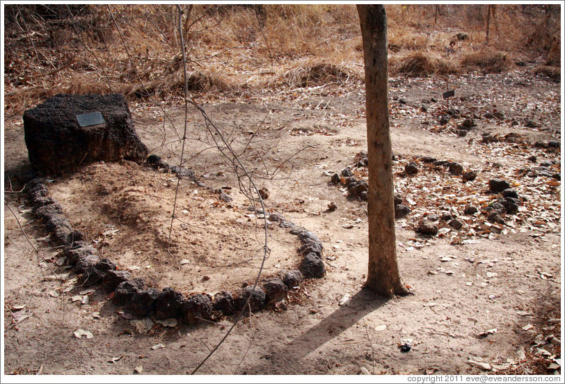 Grave of Chimpanzee Rehabilitation Project founder Stella Marsden next to grave of chimpanzee Zwockle.