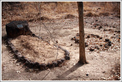 Grave of Chimpanzee Rehabilitation Project founder Stella Marsden next to grave of chimpanzee Zwockle.