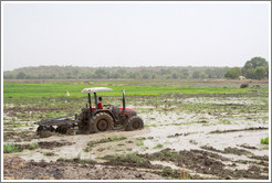 Newly cultivated field.