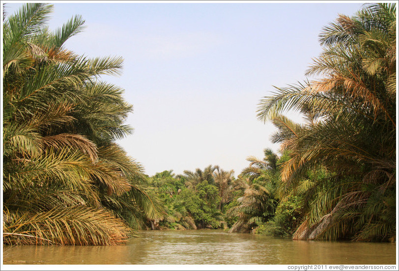 River Gambia.