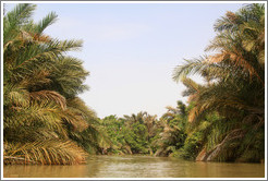 River Gambia.
