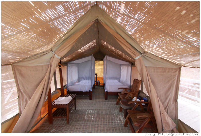 Safari tent.