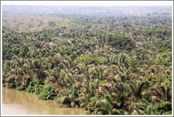 Gambia National Park.
