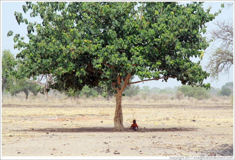 Boy sitting in the shade of a tree,