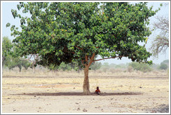 Boy sitting in the shade of a tree,