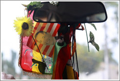 Barack Obama on an American flag, hanging from a taxi driver's rear view mirror.