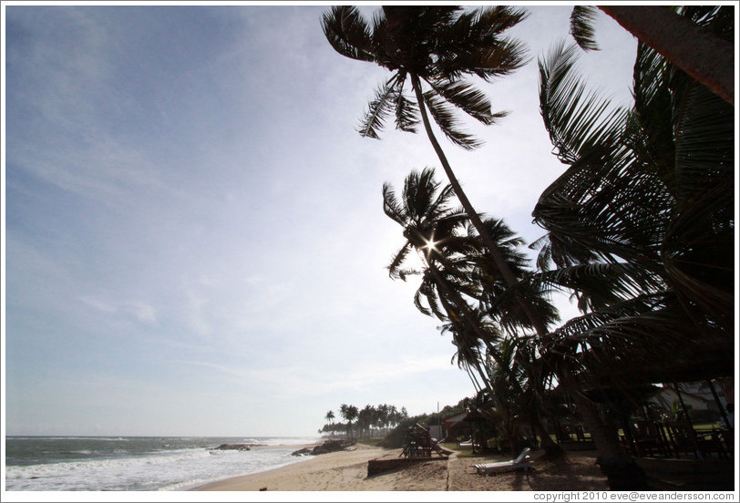 Beach in Elmina.