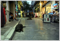 Dogs resting in the street in Plaka (&#928;&#955;&#940;&#954;&#945;), an old neighborhood in Athens.