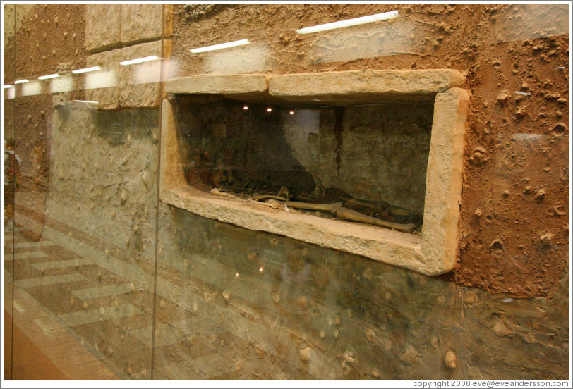 Skeleton from the 4th century BC.  Archaeological display at the Syntagma (&#931;&#973;&#957;&#964;&#945;&#947;&#956;&#945;) metro station. 