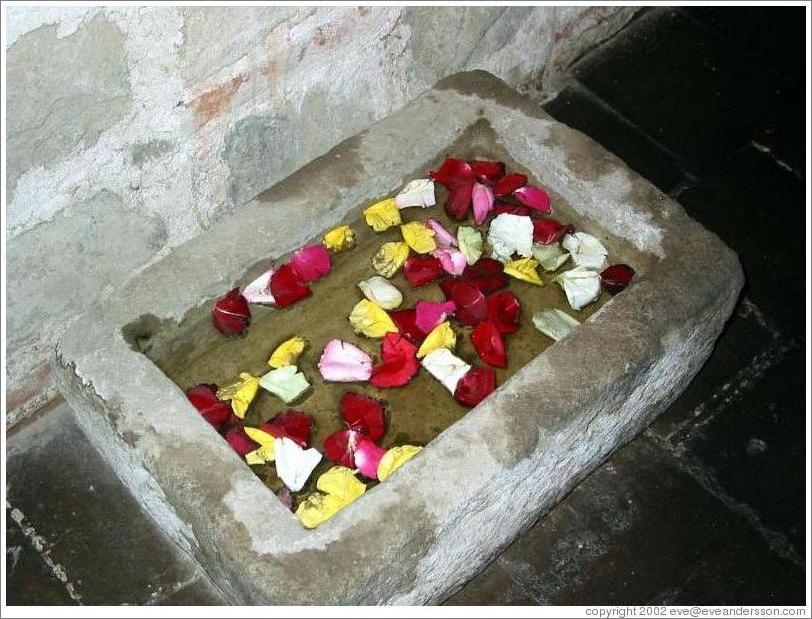 Floating rose petals at the Casa Santo Domingo hotel.