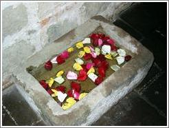 Floating rose petals at the Casa Santo Domingo hotel.