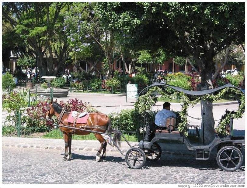 Antigua, Guatemala.  Horse and Carriage in front of Parque Central.