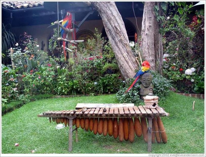 Parrots and a marimba at the Mayan Inn.