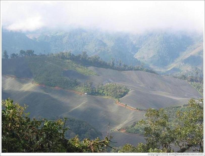 View of farmland from the Biotopo del Quetzal.