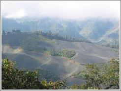 View of farmland from the Biotopo del Quetzal.