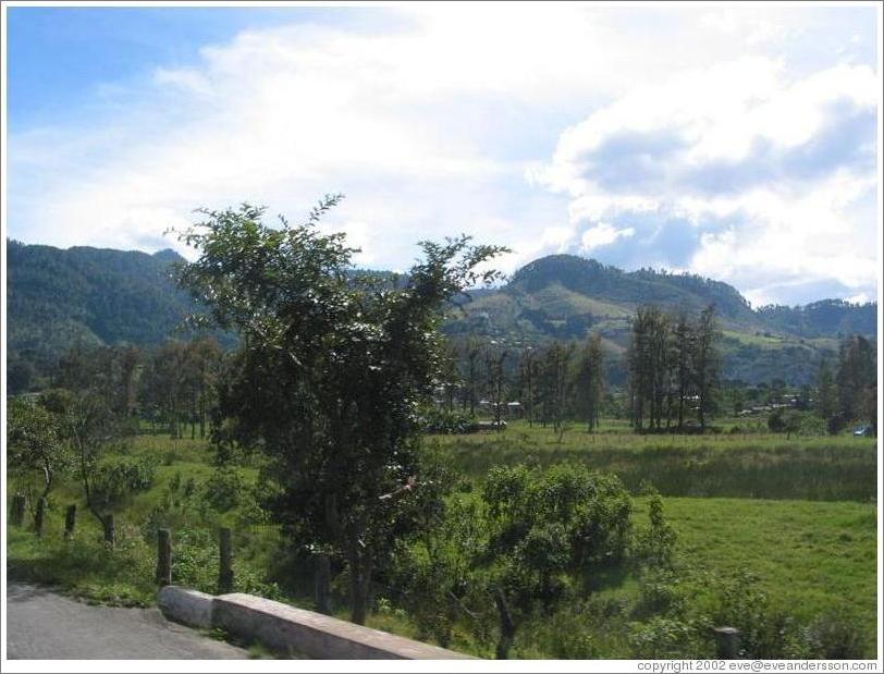 Farmland in the Coban area.