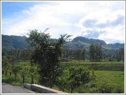 Farmland in the Coban area.