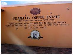 Filadelfia Coffee Estate.  Wall.