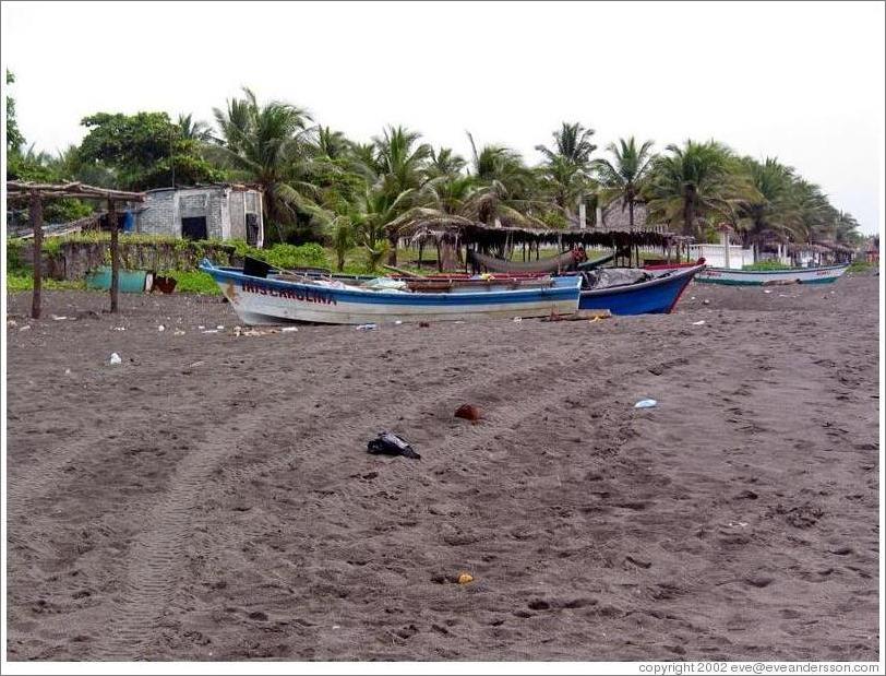 Monterrico beach.