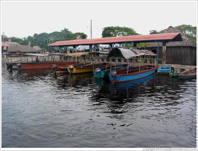 Boats at La Avellana in the mangrove swamp.