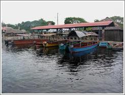 Boats at La Avellana in the mangrove swamp.